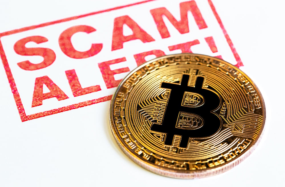 Yearender 2021: Squid Game, Elon Musk Impersonator Scams And Other Top Crypto Frauds