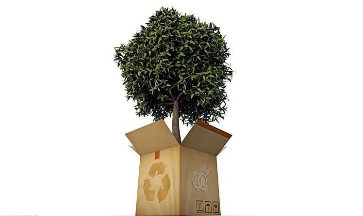 Ten Major Sustainability Trends To Watch Out For In 2022