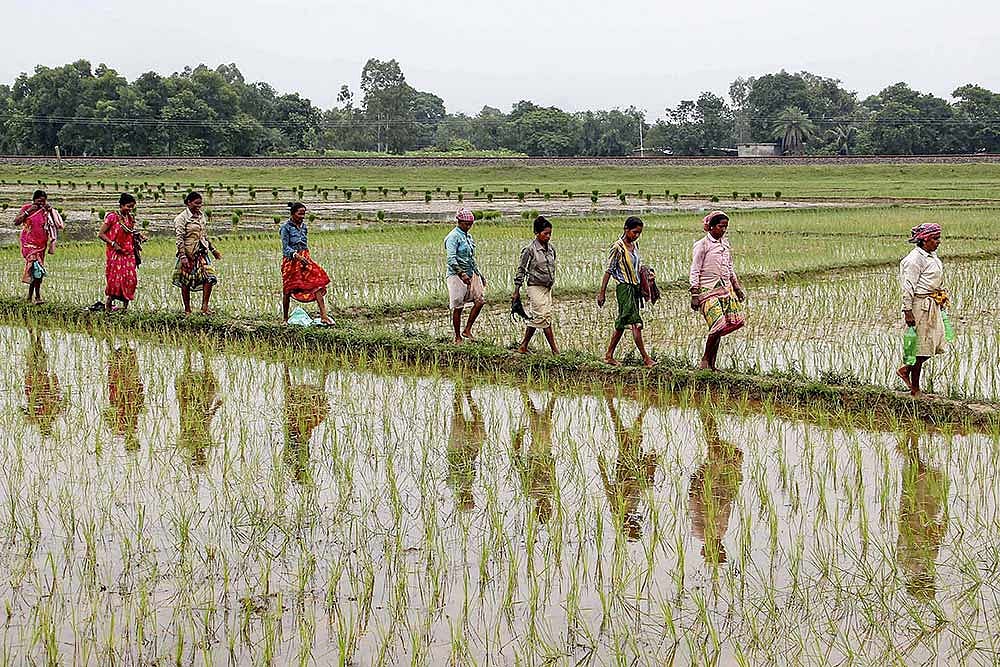 Environment Minister Gopal Rai Reviews Progress Of Mega Plantation Drive In Delhi