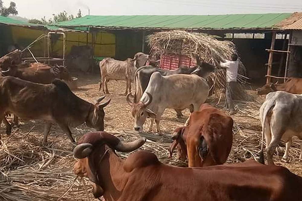 Our food Systems Are Broken. We Are In Need Of Urgent Change