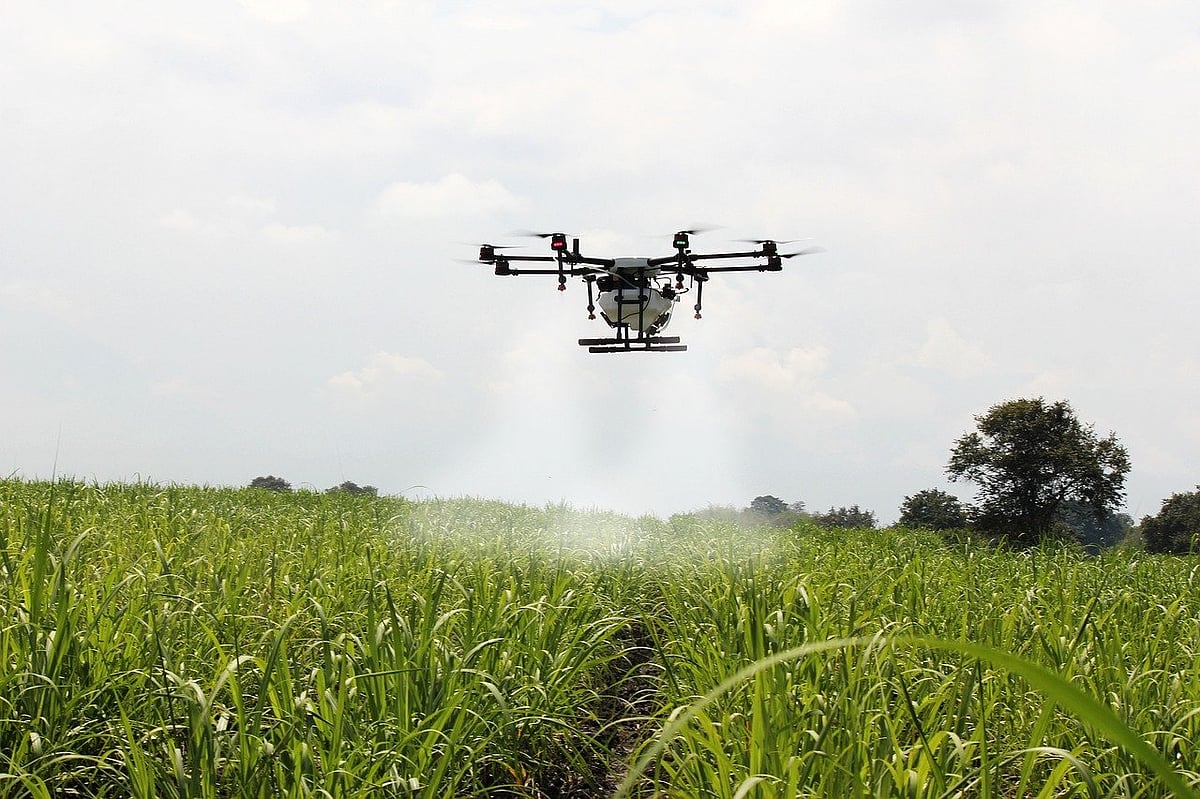 Not Just Monitor, Drones May Even Pluck Fruits