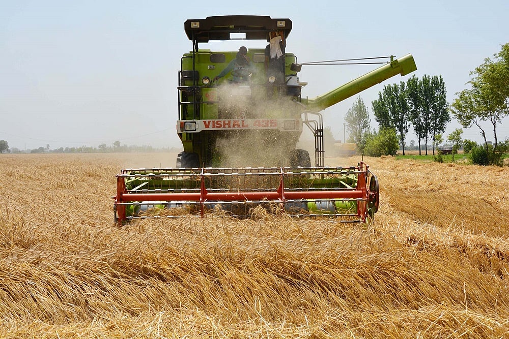 Agriculture Income, Rural Consumption Dropped In Kenya With Pvt Sector Entry, Says Study