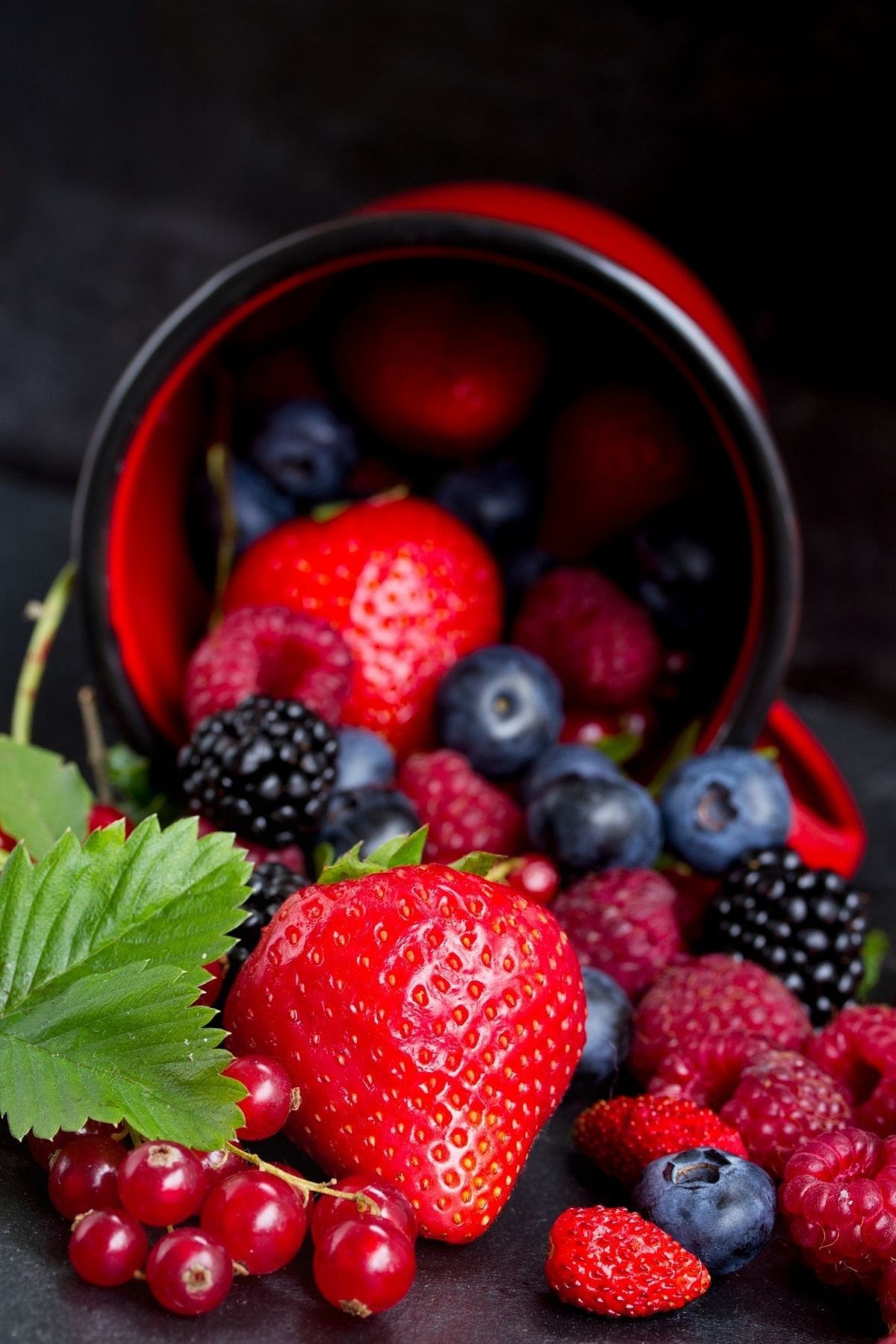 A Few Berries A Day Keeps The Doctor Away