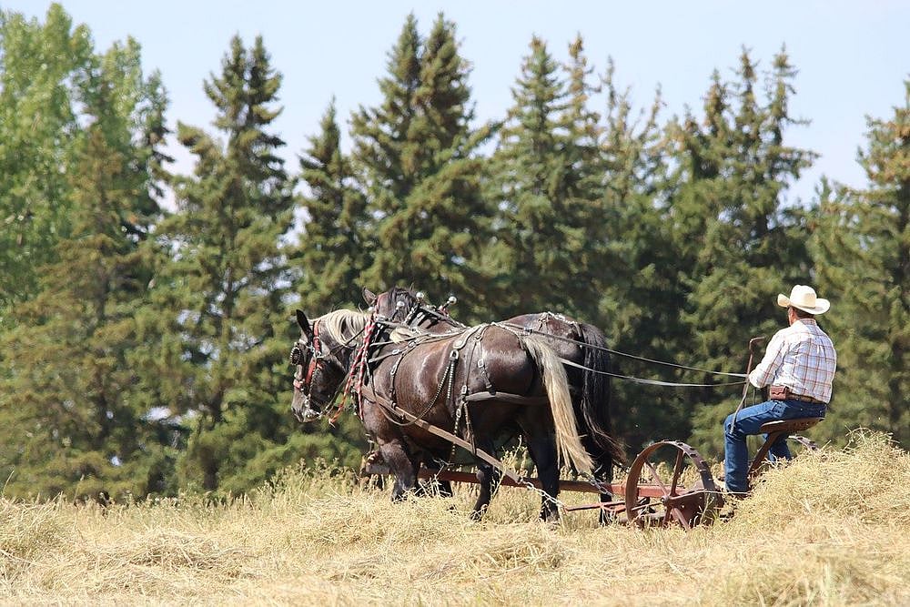 'Awareness Week' In March To Celebrate American Farmworkers