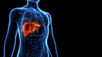 How To Revert A Grade 2 Fatty Liver To A Normal And Healthy One How To Revert A Grade 2 Fatty Liver To A Normal And Healthy One