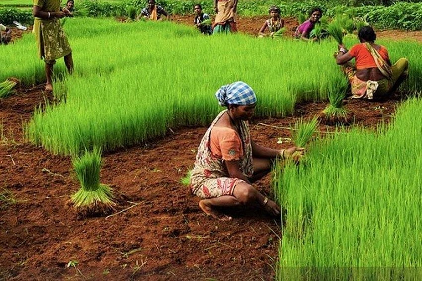 Skilling And Employment Of Women: A Priority For India’s Progress