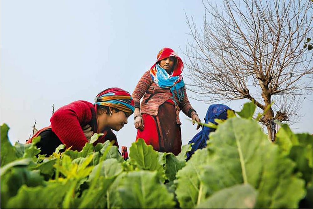Women’s Day: Think Farmers, Think Men. But 40,000 Women Farmers Would Beg To Differ