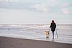 Our Bodies And The Intertwined Fates Of Women And Animals