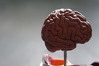 Are You Left Or Right? We’re Talking About Your Brain