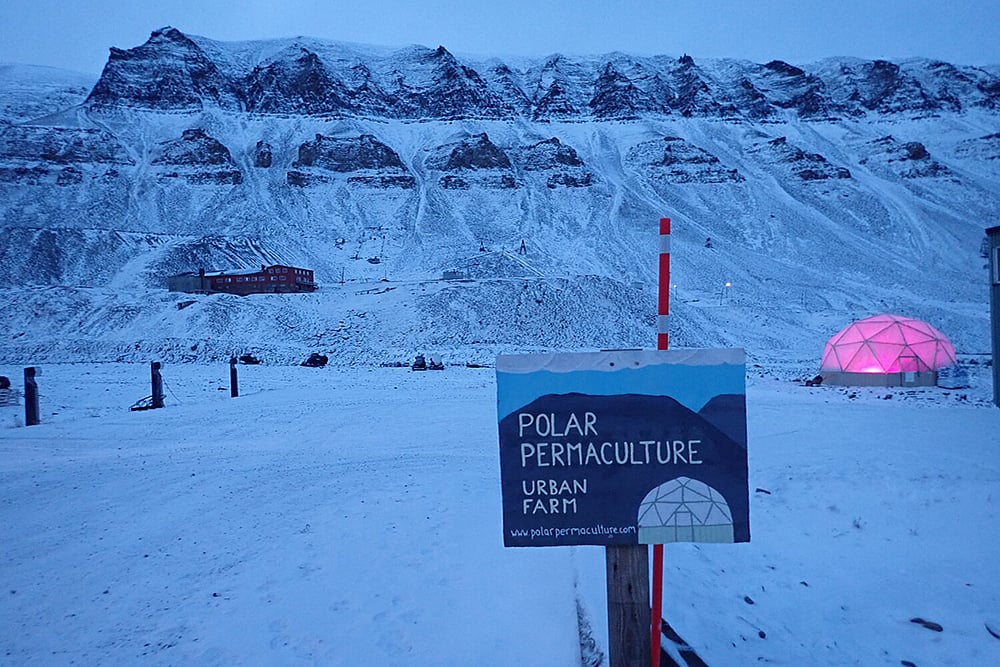 This Chef Grows Fruits And Vegetables In The Arctic Circle