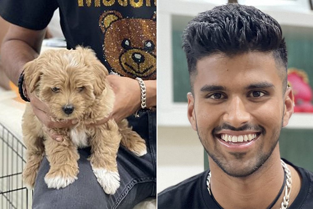 Washington Sundar Names His Dog After Gabba Cricket Stadium In Australia, Writes Love Is A Four-legged Word