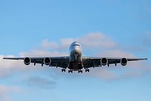 Domestic Travel Bans Can Increase Covid-19 Cases