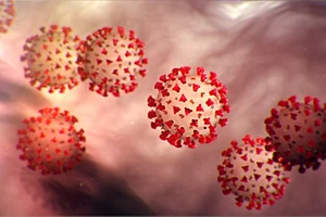 Covid Case Study: What Happens When One Contracts Black Fungus And The Symptoms