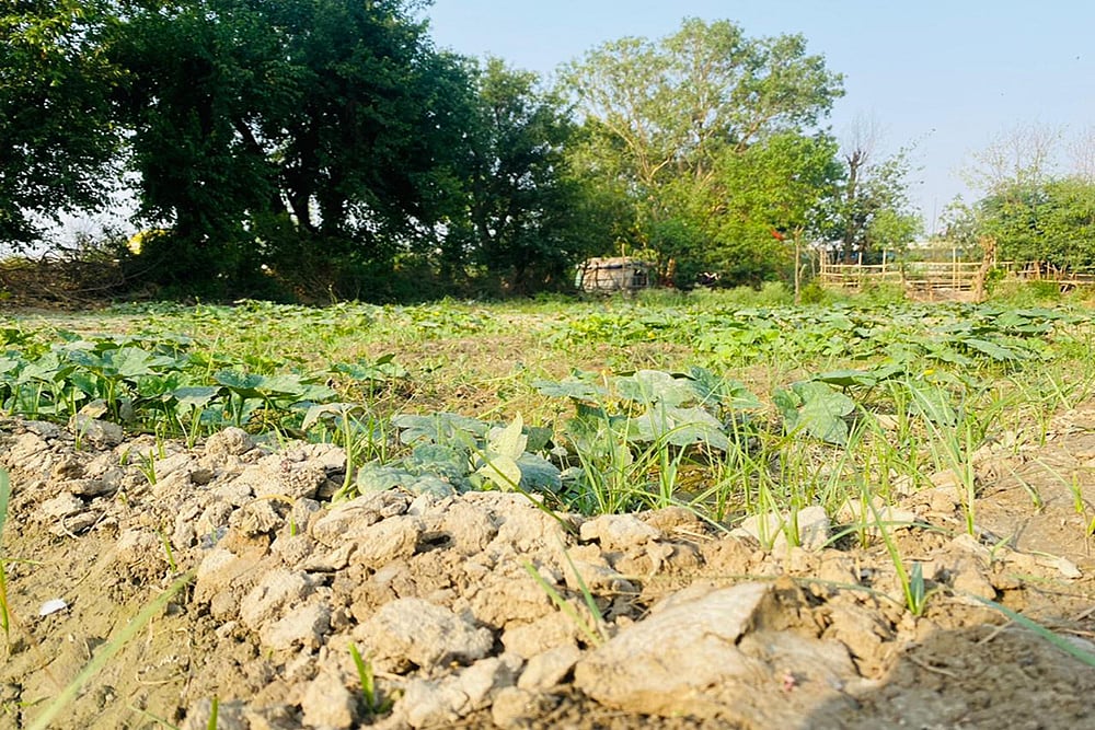 Agriculture Analytics Market Expected At $2.27 Bn By 2027: Study