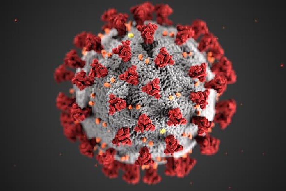 New Covid Variants Can Evade Antibodies By Spreading Via Super-Cells: Research
