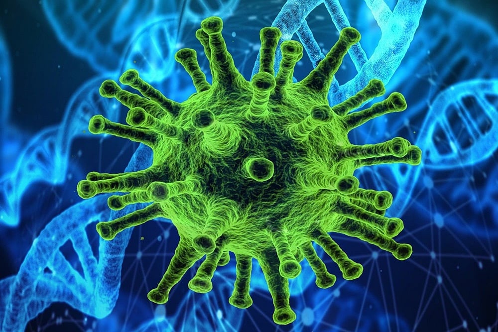 Covid Explained: What Is Green Fungus? What Are The Early Symptoms?
