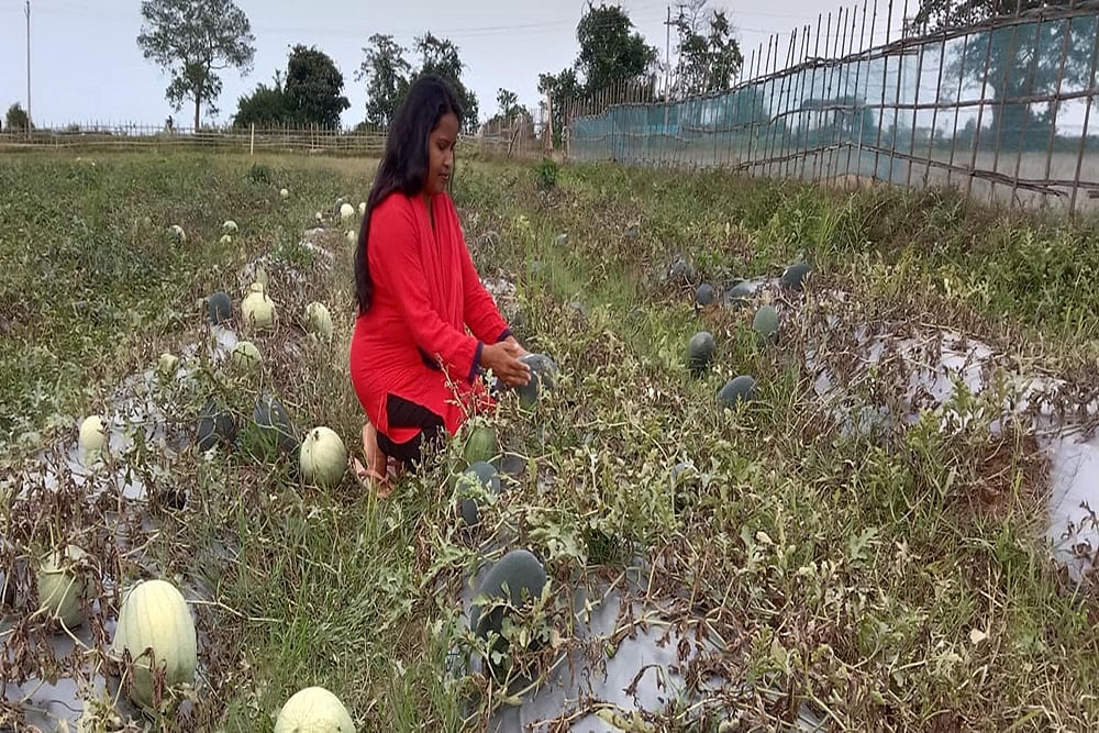 The Inspiring Story Of Assam's Nabanita Organic Farm