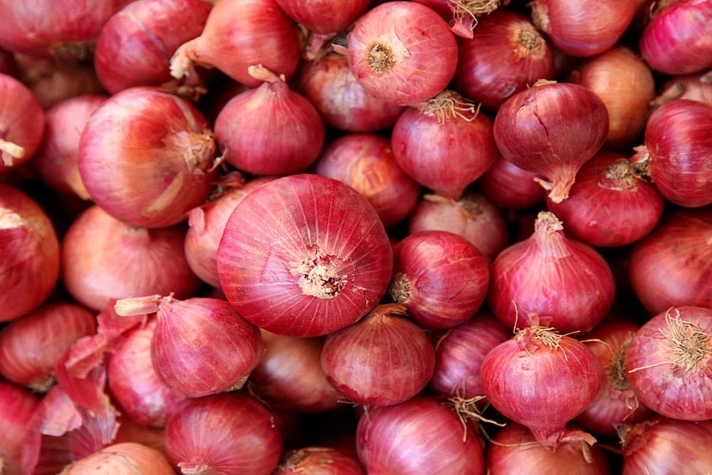 Fact Check: Can You Catch Mucormycosis, Or Black Fungus, From Onions?