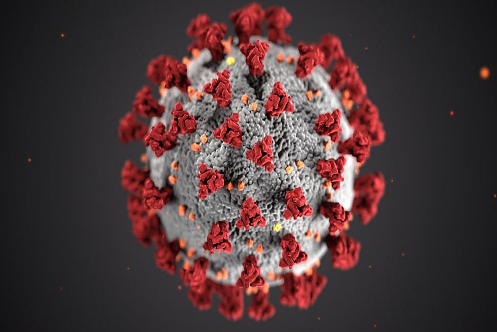 The Lambda variant was the seventh variant of interest of SARS-CoV-2 identified by the World Health Organisation