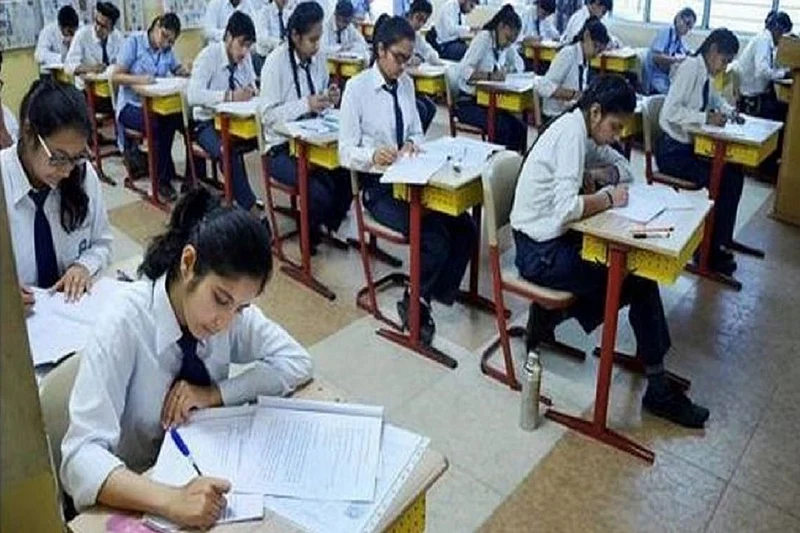 Madhya Pradesh Board Results: 90.9%, 87.7% Students Passed In Class 5, Class 8 Exams| Know Where To Check