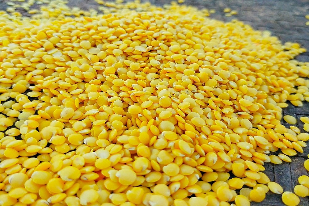 This Himachal Bank Will Conserve Indigenous Organic Seeds