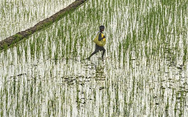 BJP MLA Fears Farmer Suicides As Water And Irrigation Projects Halted In Marathwada