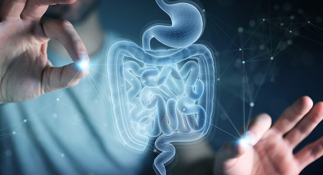 What is the human microbiome?