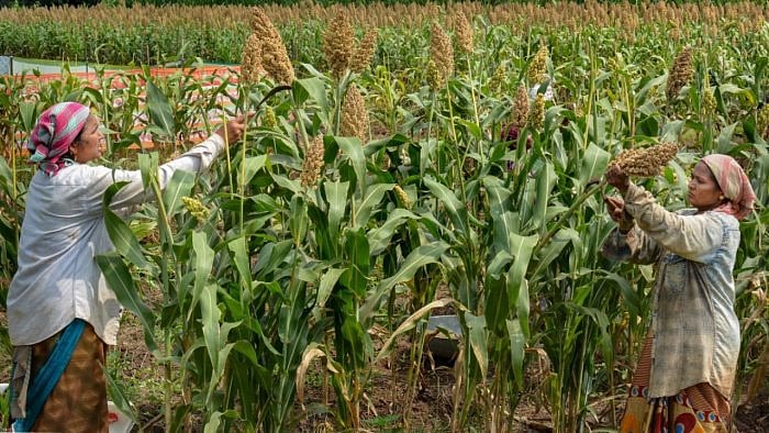 The Shiv Sena Led Maha Govt Introduces 3 Bills To Defy Centre's Farm Laws
