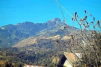 Politics Of Turning Ancestral Lands Of Indigenous Tribes Into Forest Reserved In Manipur Politics Of Turning Ancestral Lands Of Indigenous Tribes Into Forest Reserved In Manipur
