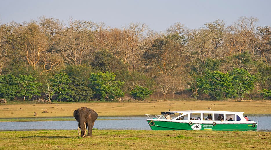 Revenge Tourism: In Between Lockdowns, Karnataka’s 'Jungle Lodges & Resorts' Breaks Monthly Records
