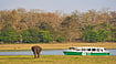 Revenge Tourism: In Between Lockdowns, Karnataka’s 'Jungle Lodges & Resorts' Breaks Monthly Records
