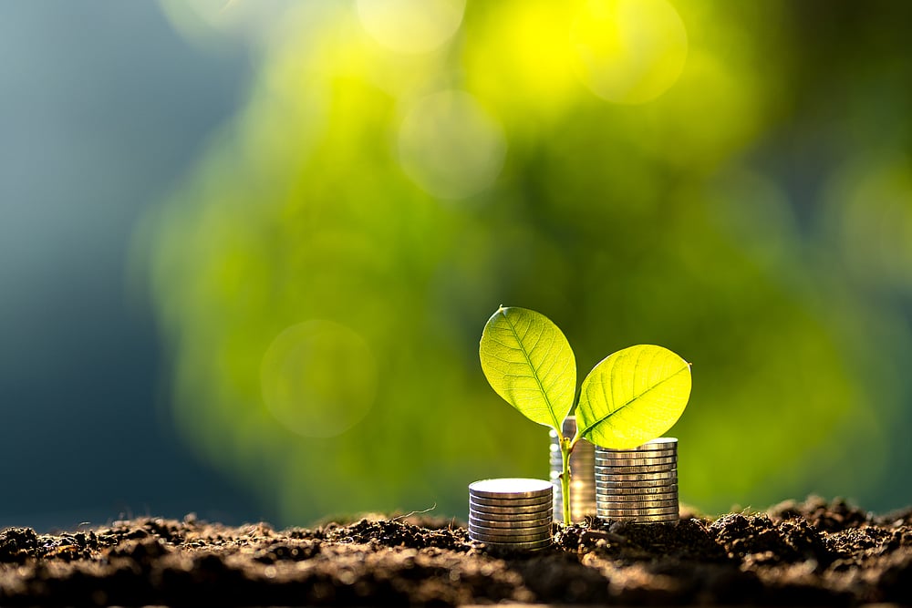 How To Create Corporate Sustainability In The Era Of Climate Crisis