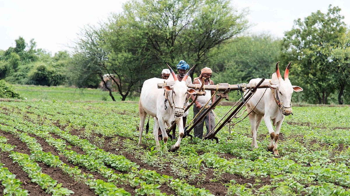 PM To Release Next Instalment Of PM KISAN On August 9