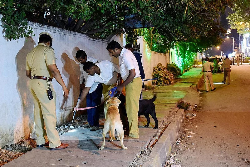 FIR Over Stray Dog Circular Misinformation In Delhi
