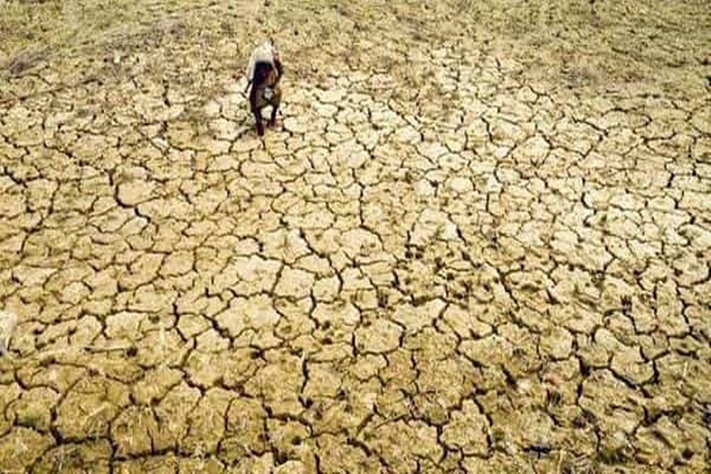 Explained: 5 Things To Know About The New UN Report On Climate Change