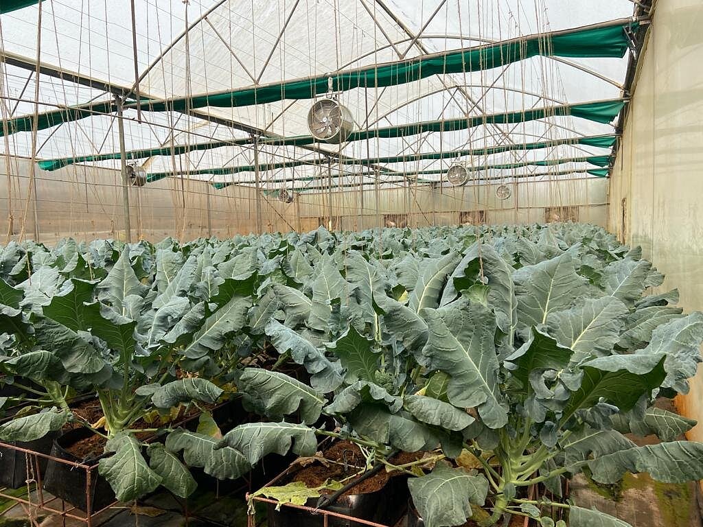 Vertical Farming World Congress From Monday: This Is How You Can Join Online