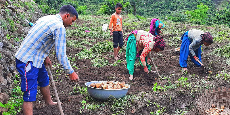 Helping Uttarakhand Farmers Scale New Heights