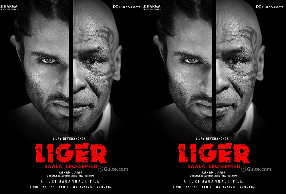 'Liger' Star Vijay Deverakonda Meets Salman Khan, Chiranjeevi On The Sets of 'Godfather'