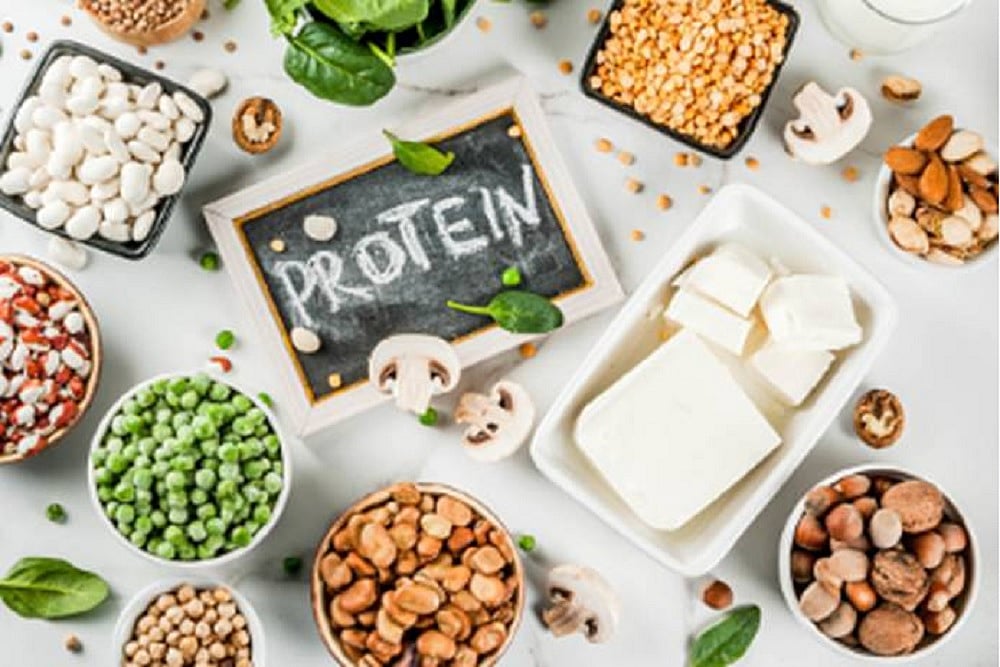 Protein Quality And Quantity – Key Factors To Achieve Good Health And Combat Malnutrition
