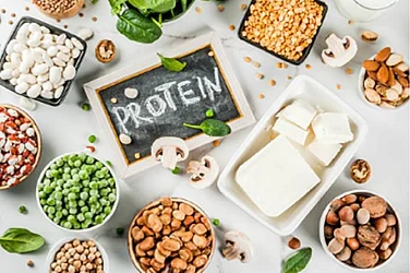 Protein Quality And Quantity – Key Factors To Achieve Good Health And Combat Malnutrition