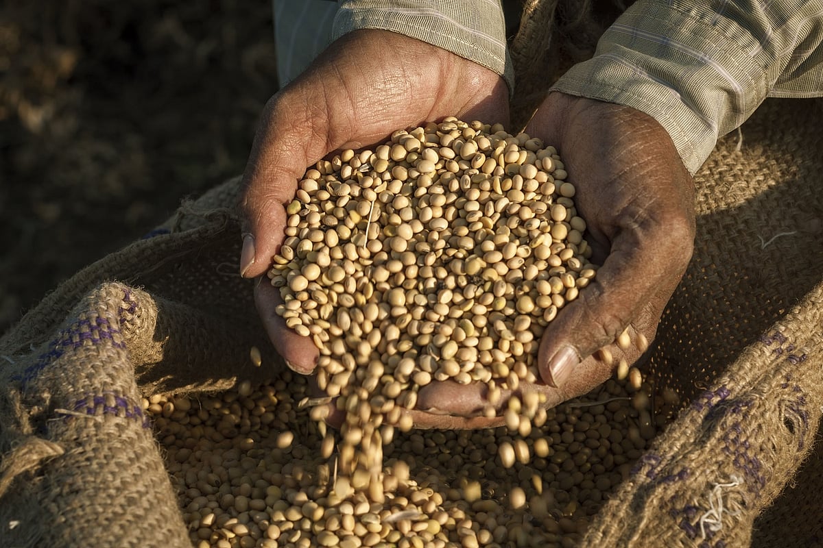 An Estimated 17% Of Global Food Production Is Wasted Every Year