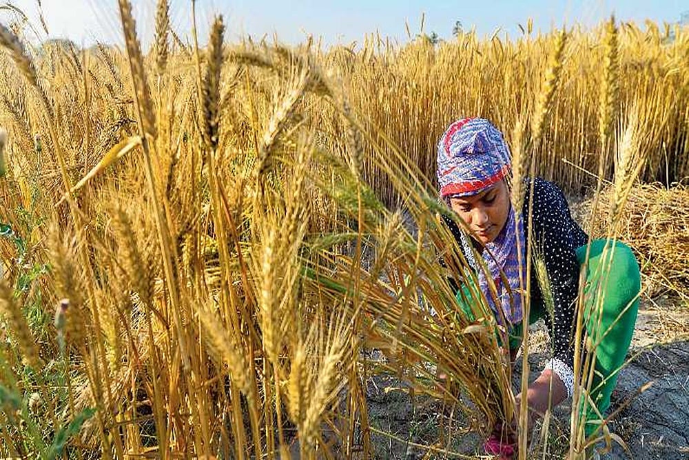 File representative image : A labour ministry statement said that this adjustment is aimed at helping workers cope with the rising cost of living.


