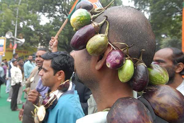 Bacteria Curry