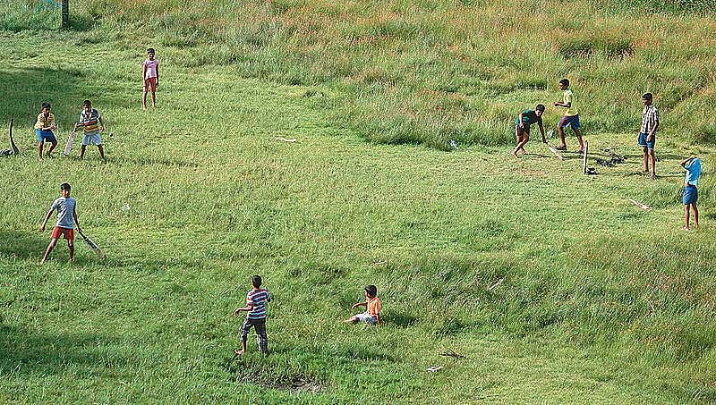 The Cochin Critters