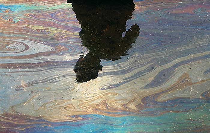 The Black Coast