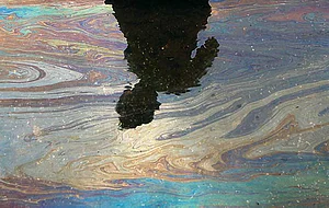 The Black Coast
