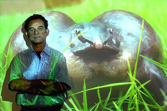 The Frog Purana