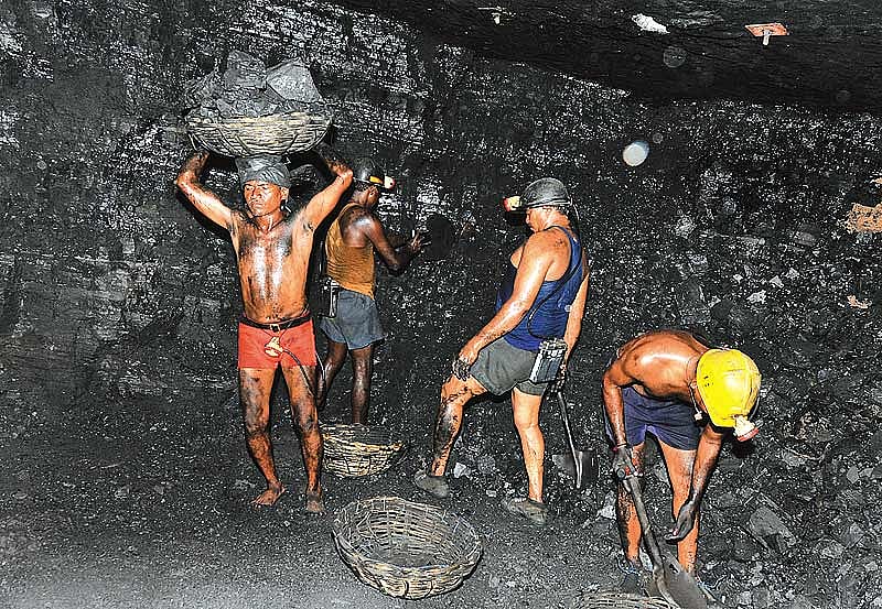 Coal, Tarred