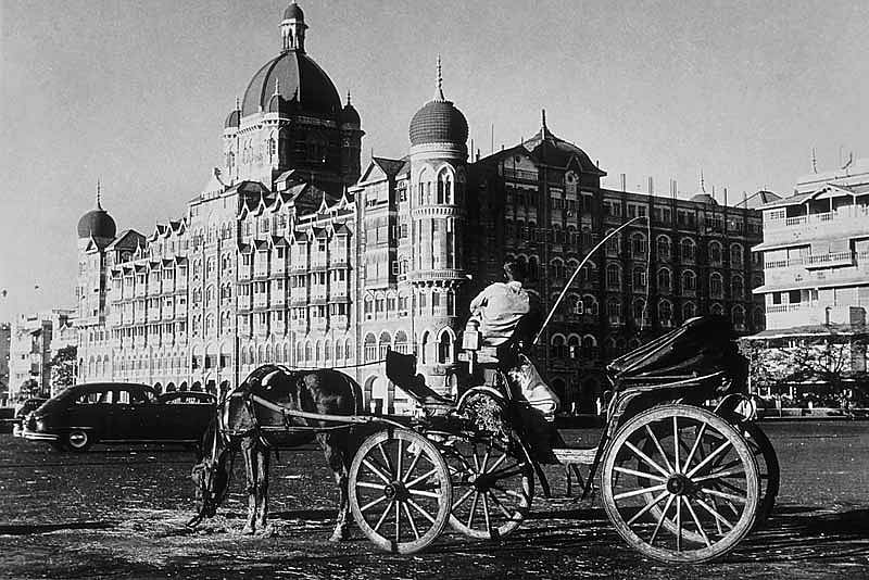 ‘Princes, Patriots, Pet Tigers, Spies... Who Wants The Kensington Museum?’