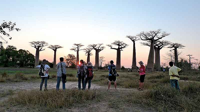 Malagasy Mystique